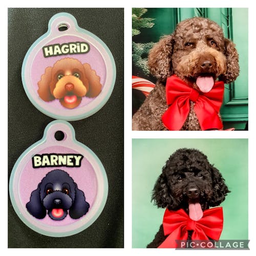 Dog Tag - Portrait