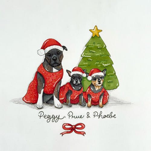 Framed Christmas Pet Portrait - Hand-drawn