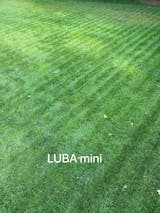 Image de l'utilisateur