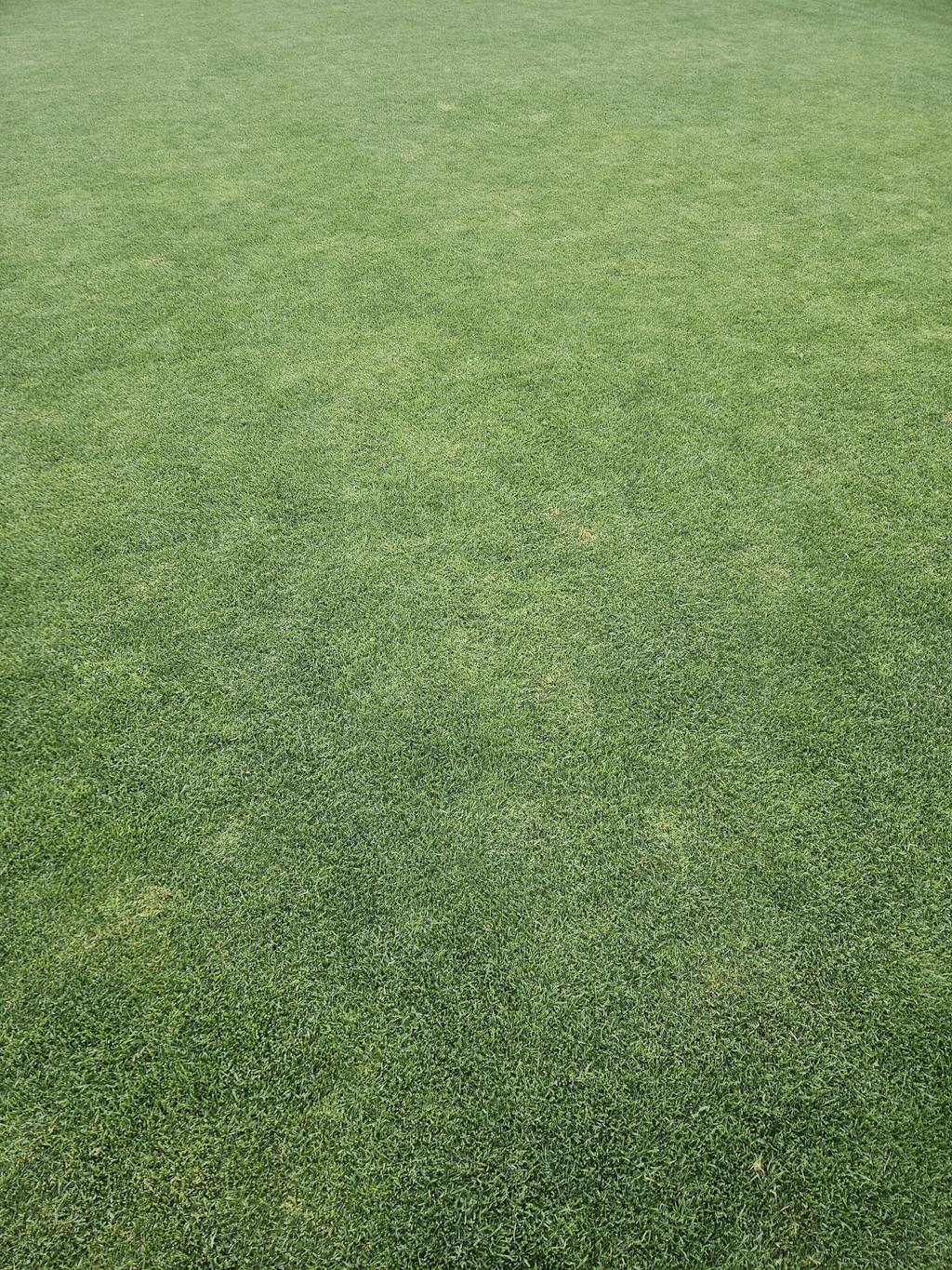 Dreame Mähroboter Performance Messerteller EVOlution MK4 ohne Zubehör