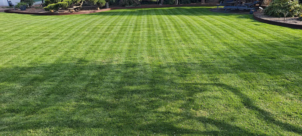 Nachfüllpack PREMIUM 30x Messerklingen + 30x Schrauben Messerklingensystem