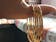 Kritika Bangles