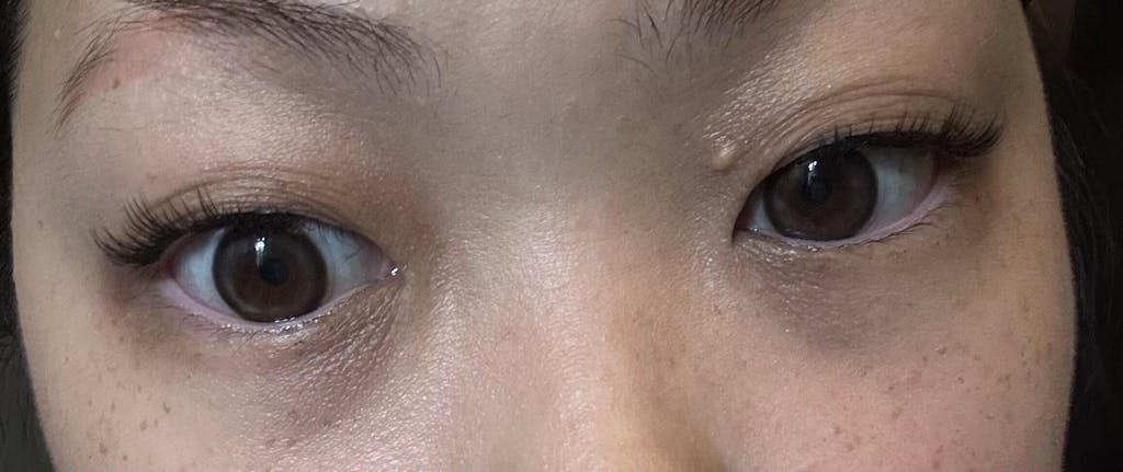 Natural Lashes - Starter Bundle