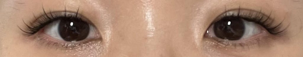 "Sleigh the Day" Lash