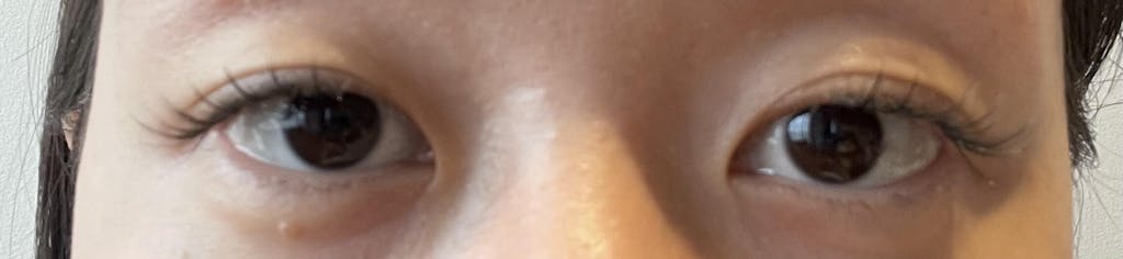 "Fruitcake Flutter" Lash