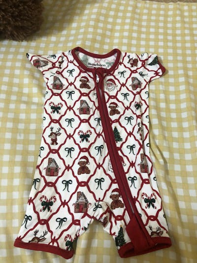 Christmas Alphabet Shorty Zippy